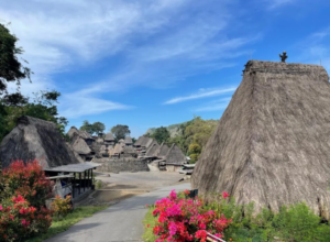 planning-a-trip-to-reo-manggarai-a-journey-through-flores